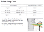 Black Diamond Distance Carbon FLZ Poles