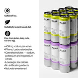 PILLAR SPARKLING ELECTROLYTE HYDRATION (12 CANS)