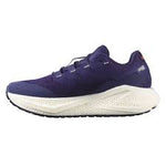 Women's Salomon Aero Glide 3 GRVL